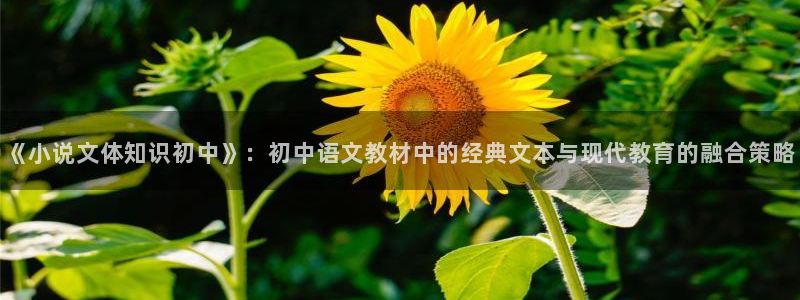 清晨心动孟五月小说全文免费阅读：《小说文体知识初中》：初中语文教材中的经典文本与现代教育的融合策略